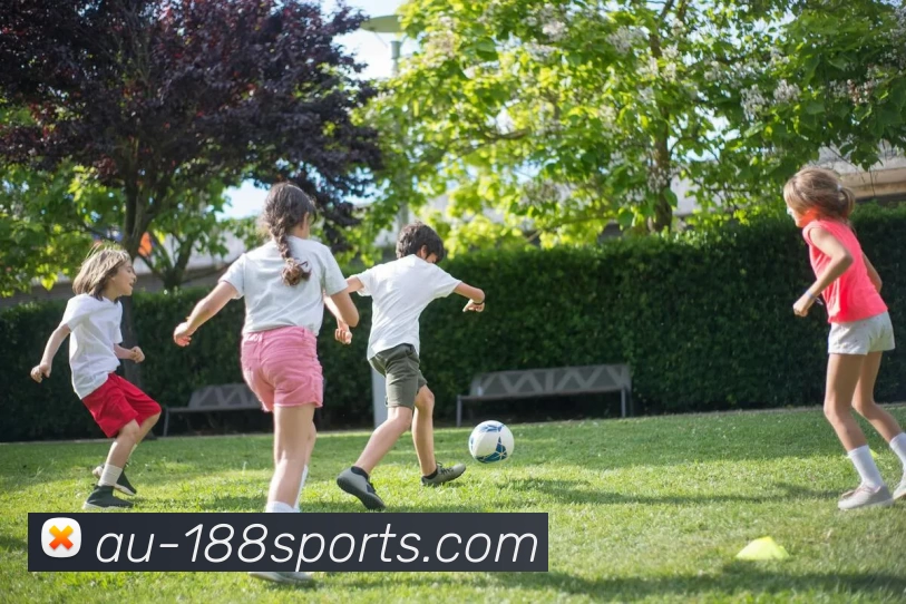 多媒体互动体验